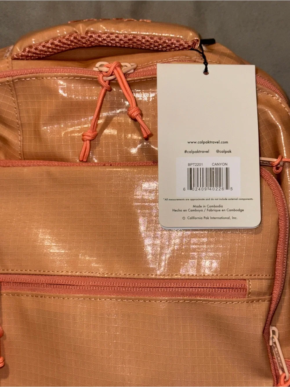 Calpak sleek backpack